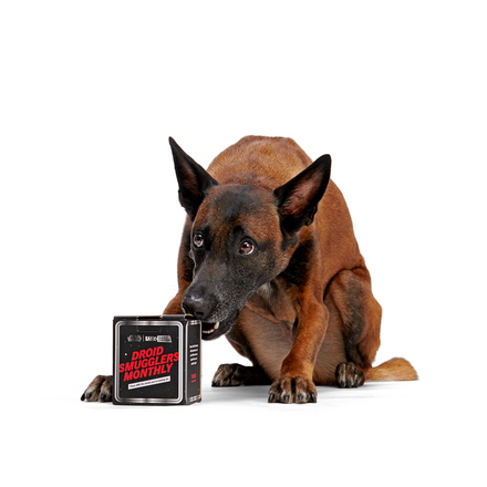 Star Wars™ Droid - R2-D2™