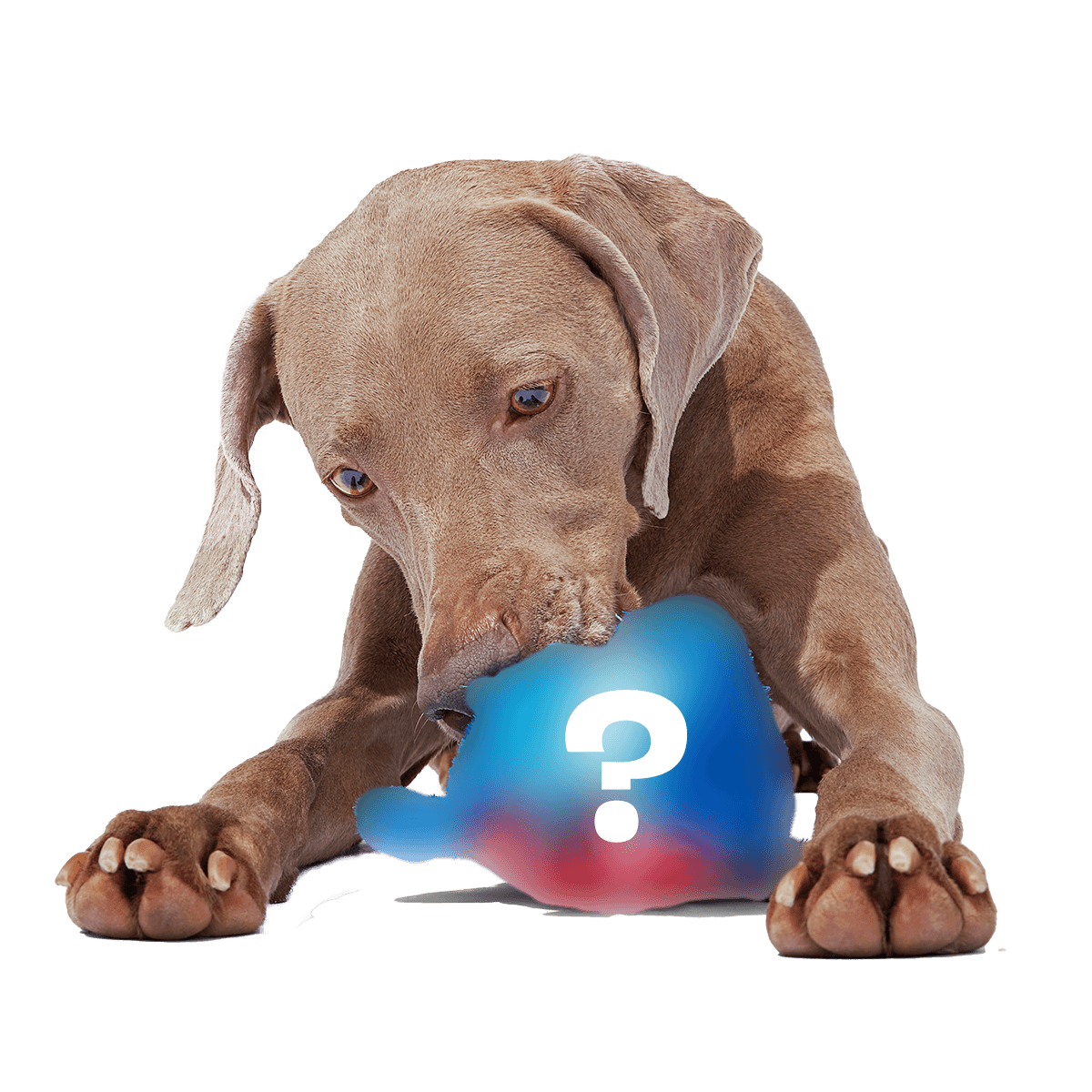 Secret Monster Club, Super Chewer Durable 2-in-1 Rip and Reveal Monthly Dog Toys