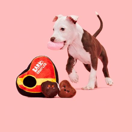 Barks of Chocolates