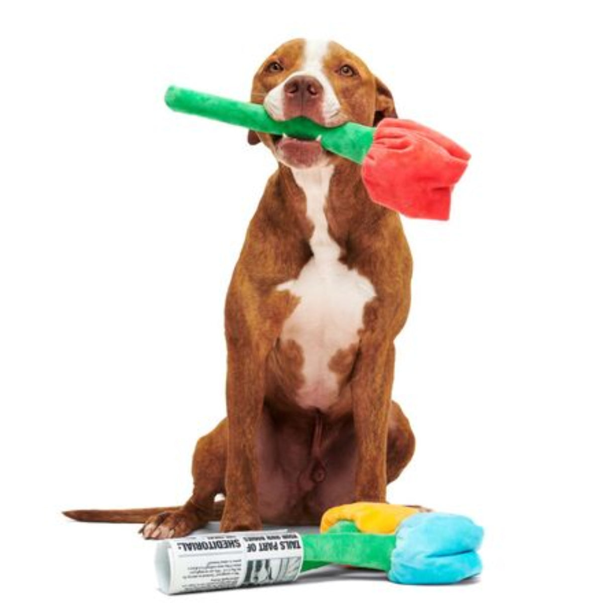 Cheer Up Boopquet Plush Tug + Multi-Part + Enrichment Dog Toy