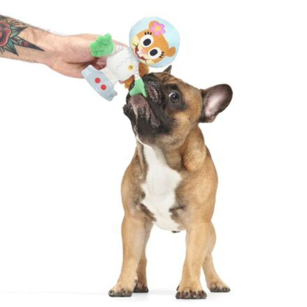 Kah-Rah-Tay Chomp Sandy Plush Tug Dog Toy