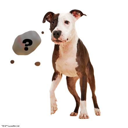 Star Wars™ Droid - IG-11™