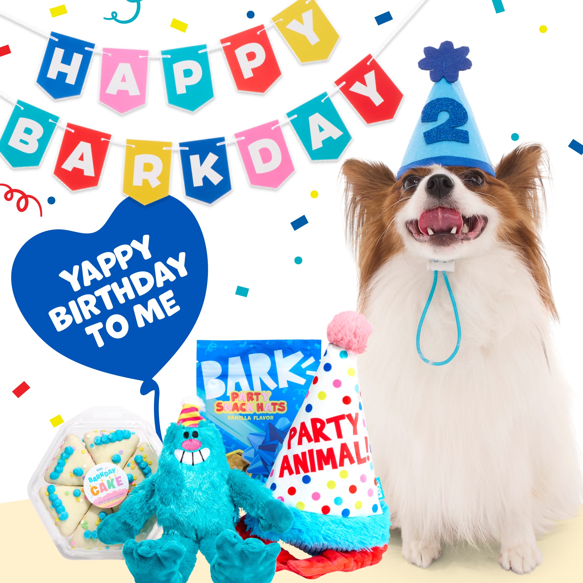 Birthday Classic Plush Gift Box – BARK