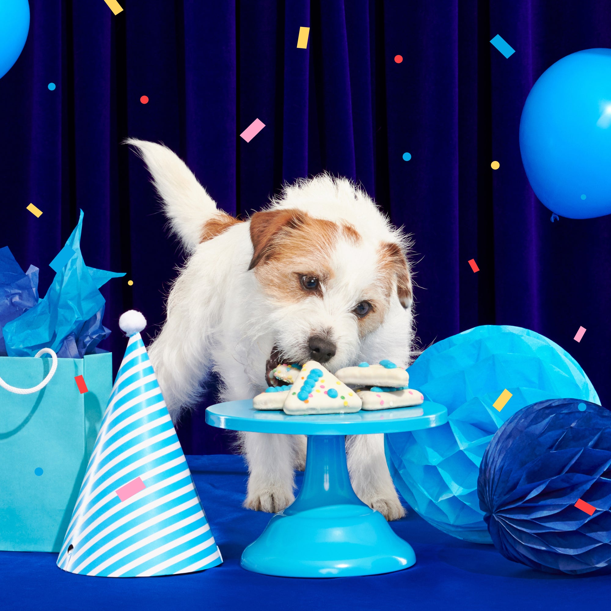 Birthday Classic Plush Gift Box