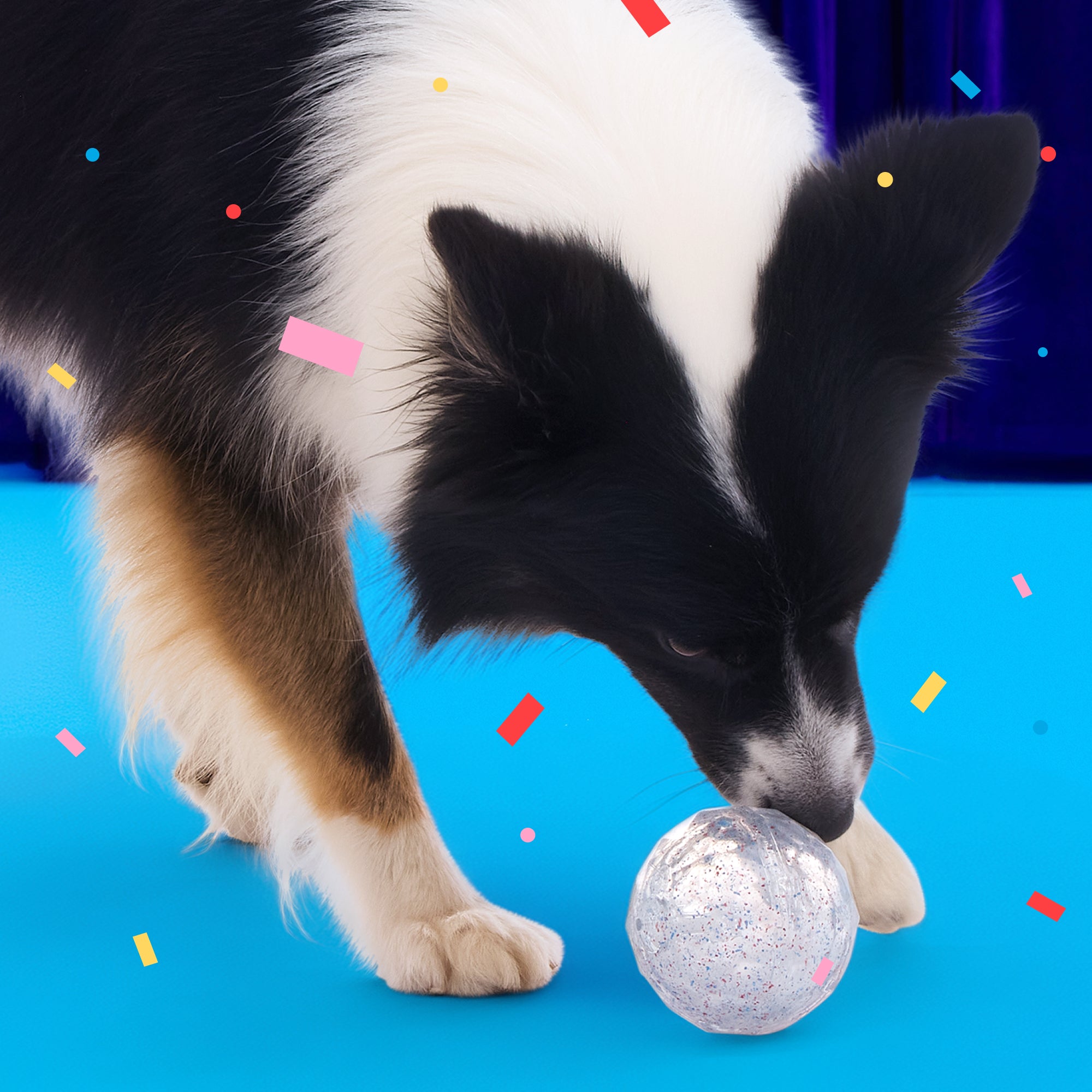 Birthday Super Chewer Gift Box – BARK