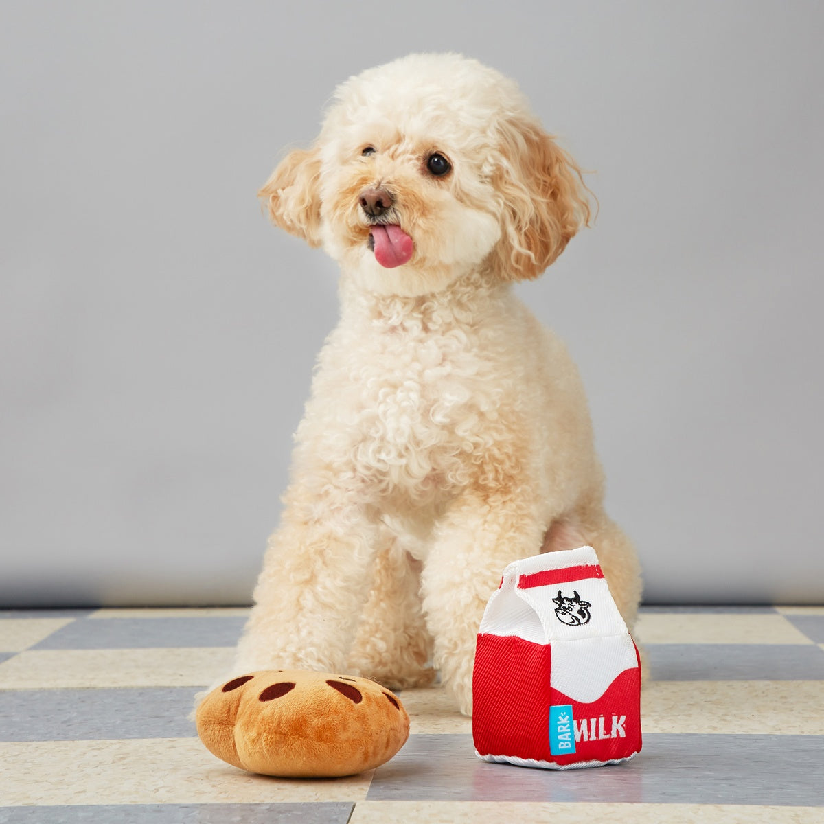 After School Snack Pack Plush Multi-Part Dog Toy