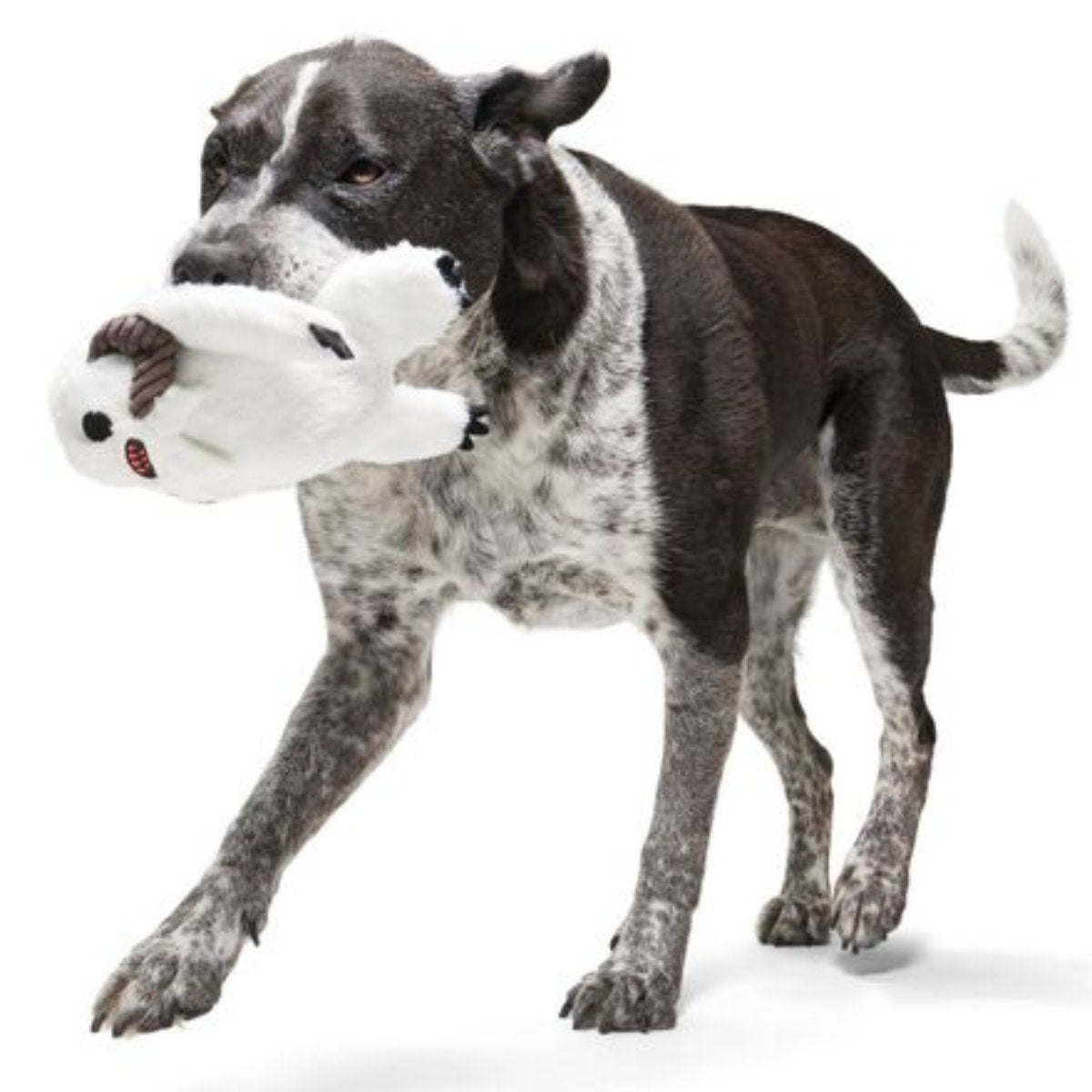 Disarmingly Nice Wampa