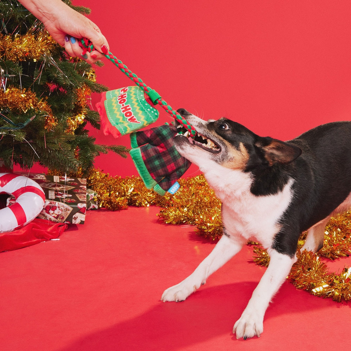 Christmutts Sweater Tug Dog Toy – BARK