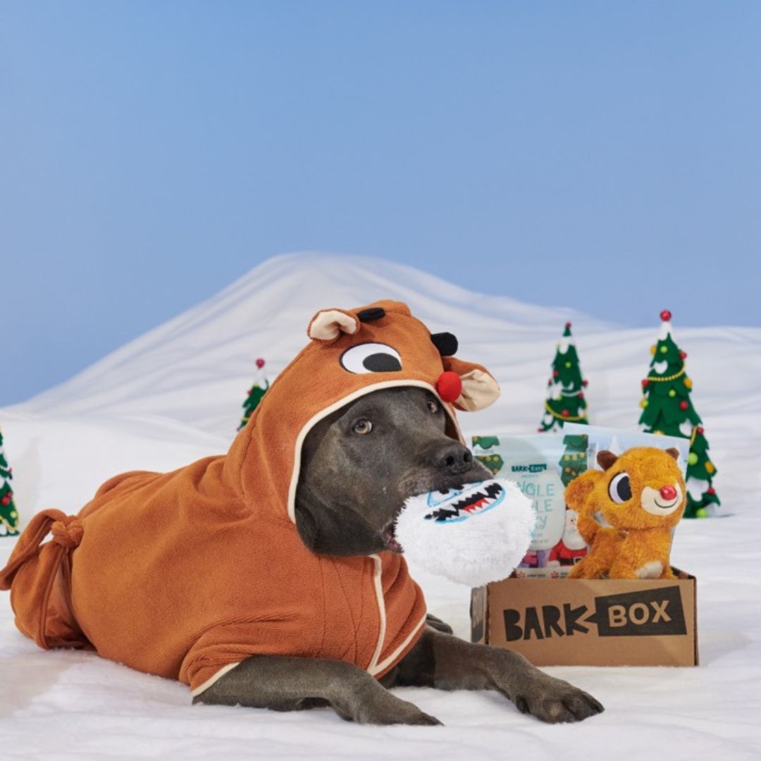BarkBox 12 Month Subscription - Rudolph