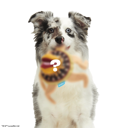 The All-Bitey Sarlacc™