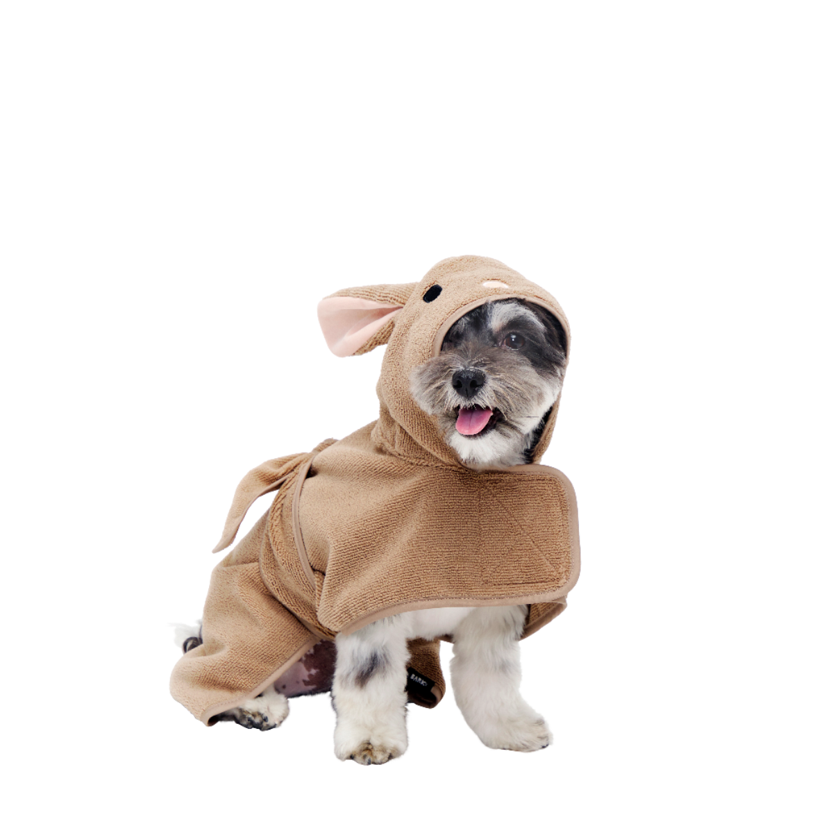 dog wearing bunny robe