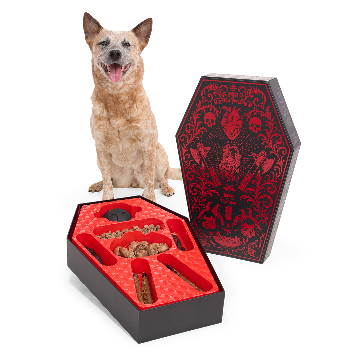 BARK x Liquid Death Feed the Beast Consumables Packup