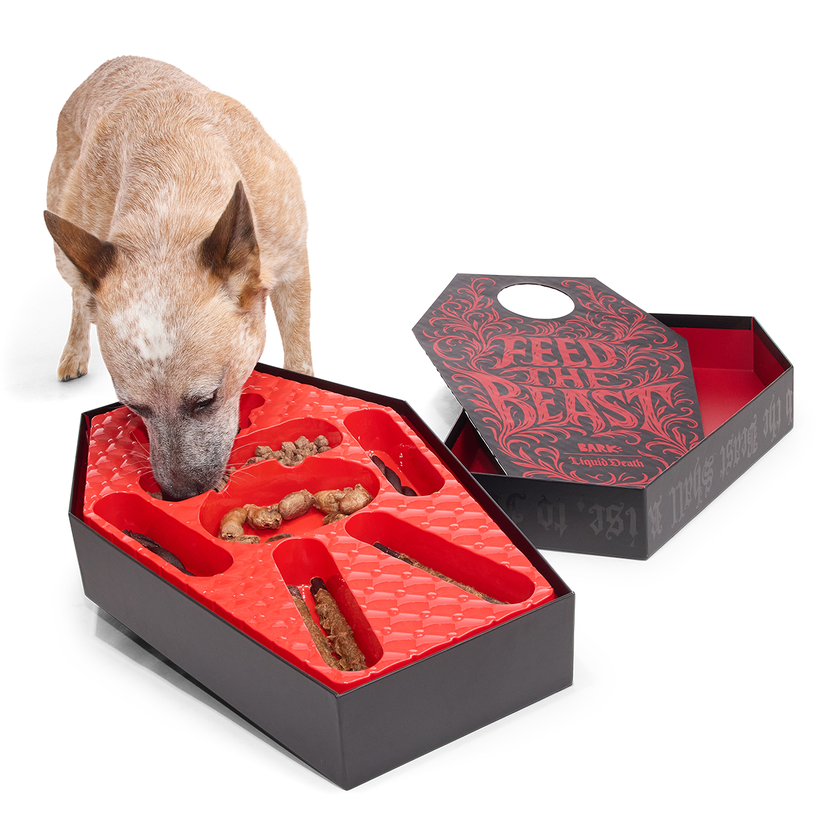 BARK x Liquid Death Feed the Beast Consumables Packup