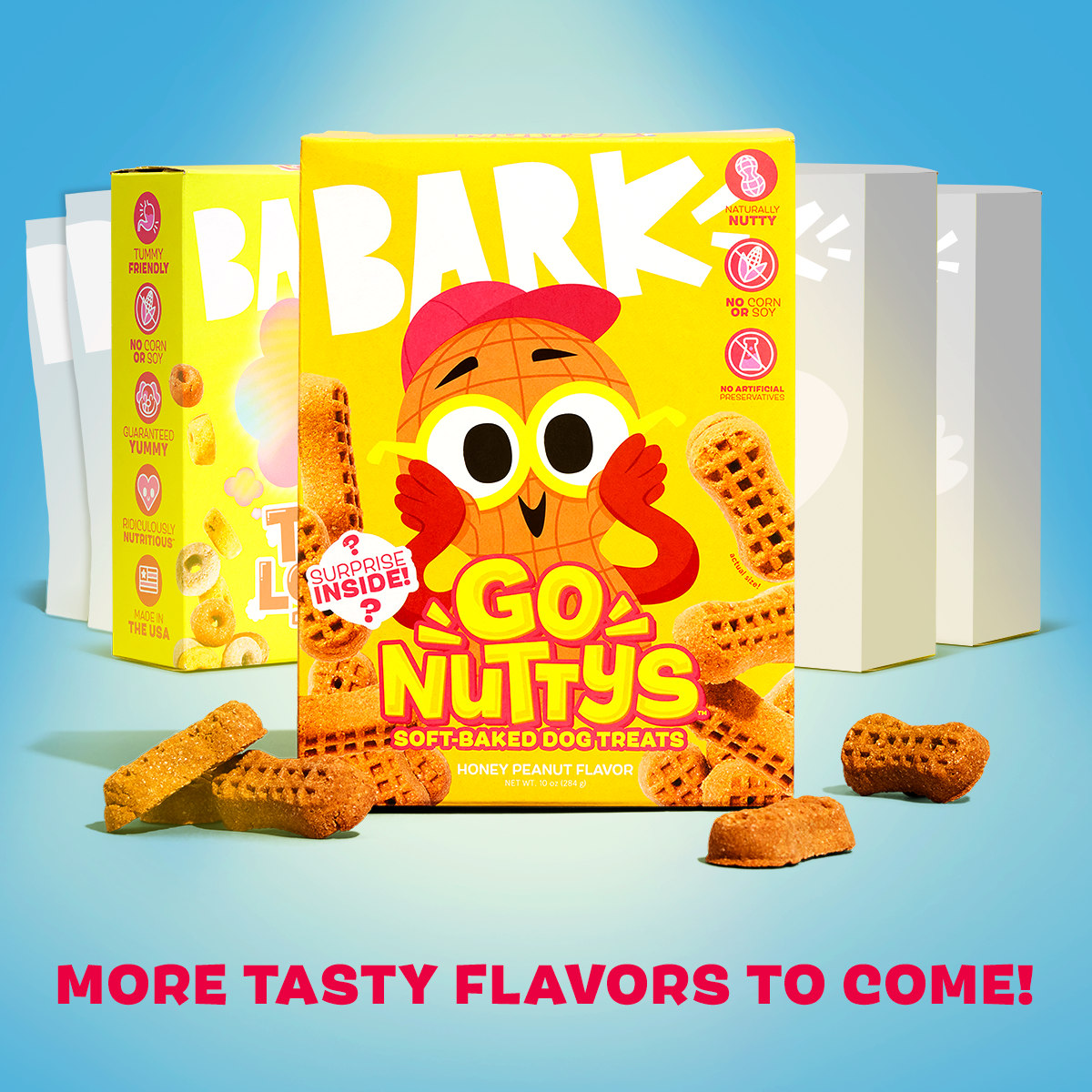 Go Nutty's™ Soft baked Dog Treats - Honey Peanut Flavor