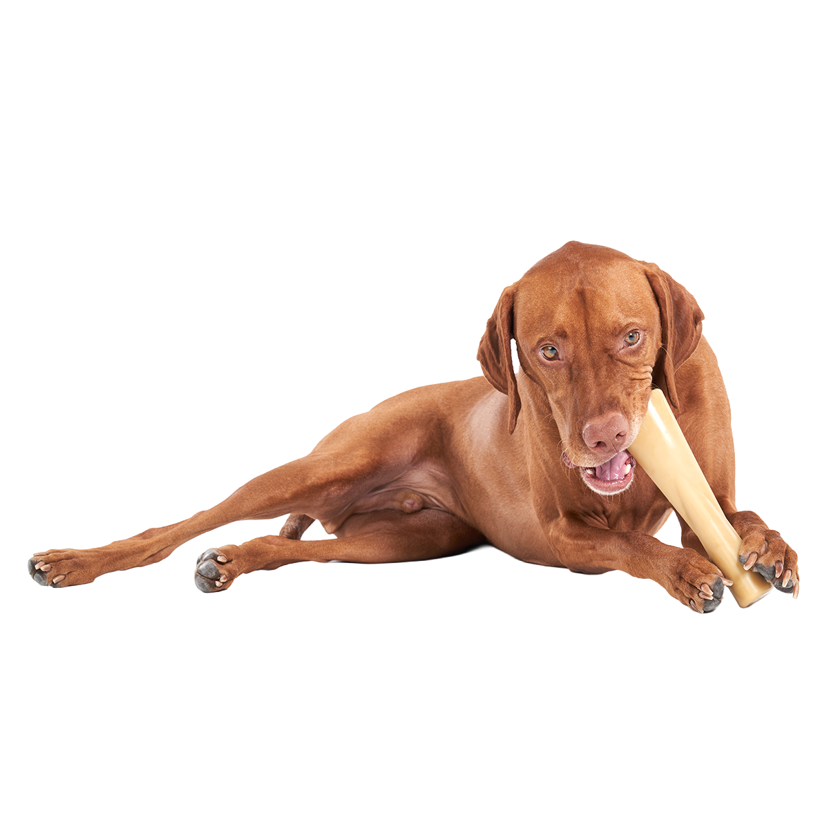 Mighty Bone Bacon Super Chewer Durable Gnaw Dog Toy
