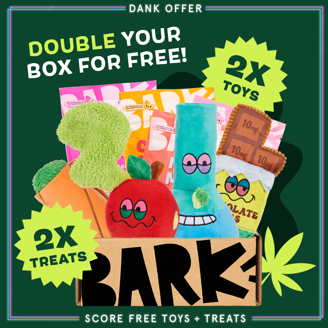 BarkBox 12 Month Subscription - 420 Double Deluxe