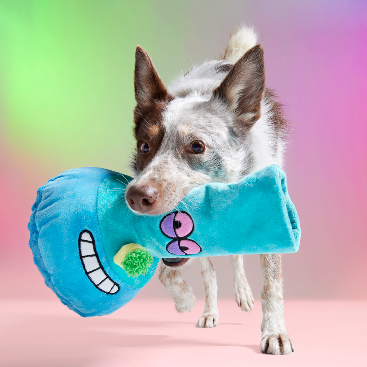 BarkBox 12 Month Subscription - 420 Double Deluxe