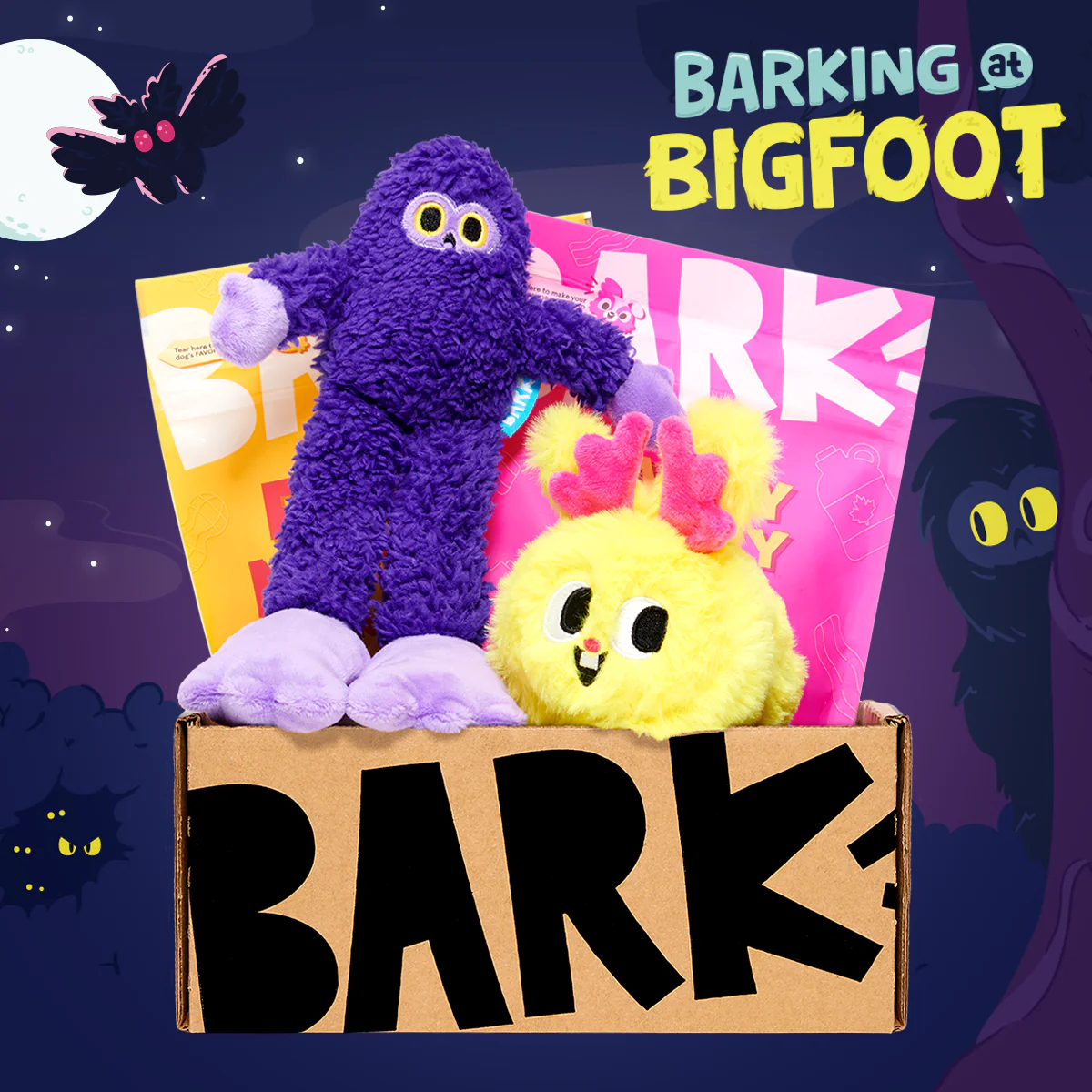 BarkBox Splash Pad GWP: BarkBox 12 Month Subscription