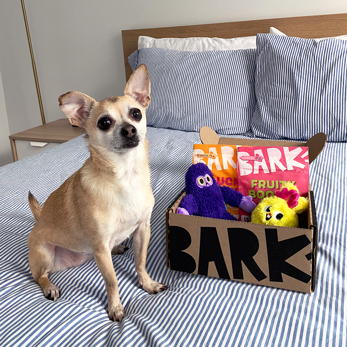 BarkBox 6 Mo. Subscription