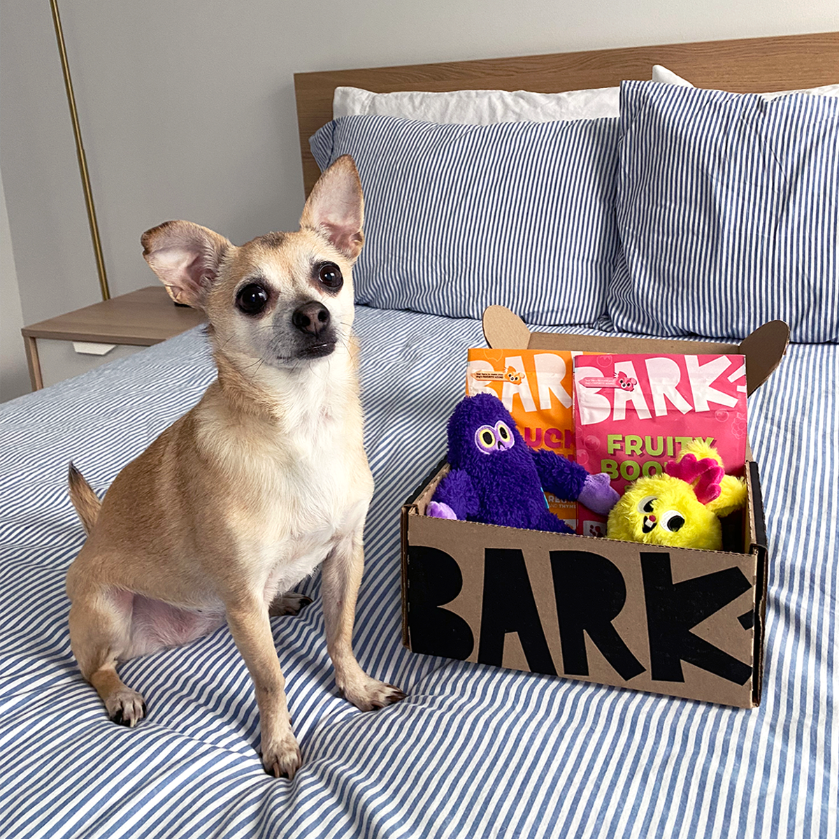 BarkBox Legacy Monthly Subscription