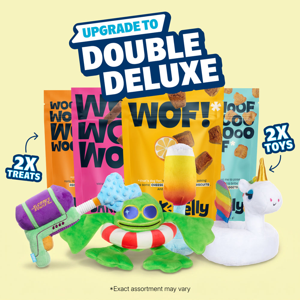 BarkBox Double Deluxe Toys & Treats Upgrade – BARK