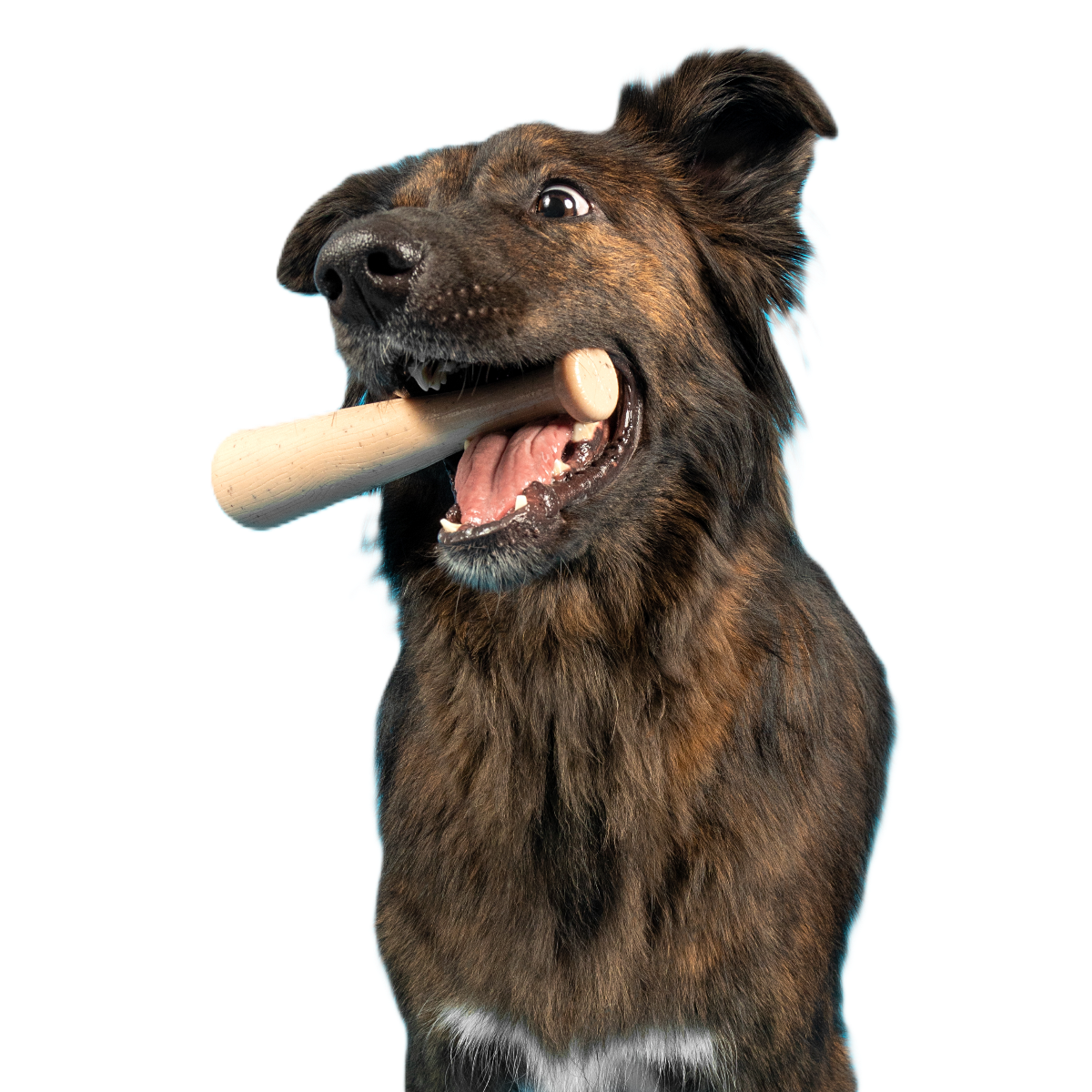 Drooleyville Slobber Super Chewer Durable Gnaw Dog Toy