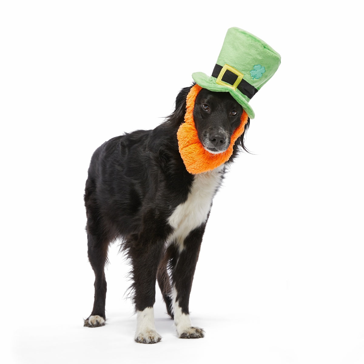 St. Pup's Lucky Hat Plush Wearable Tug Dog Toy