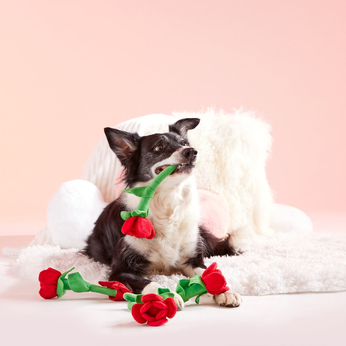 Bouquet of Roses Plush Multi-Part + Tug Dog Toy – BARK