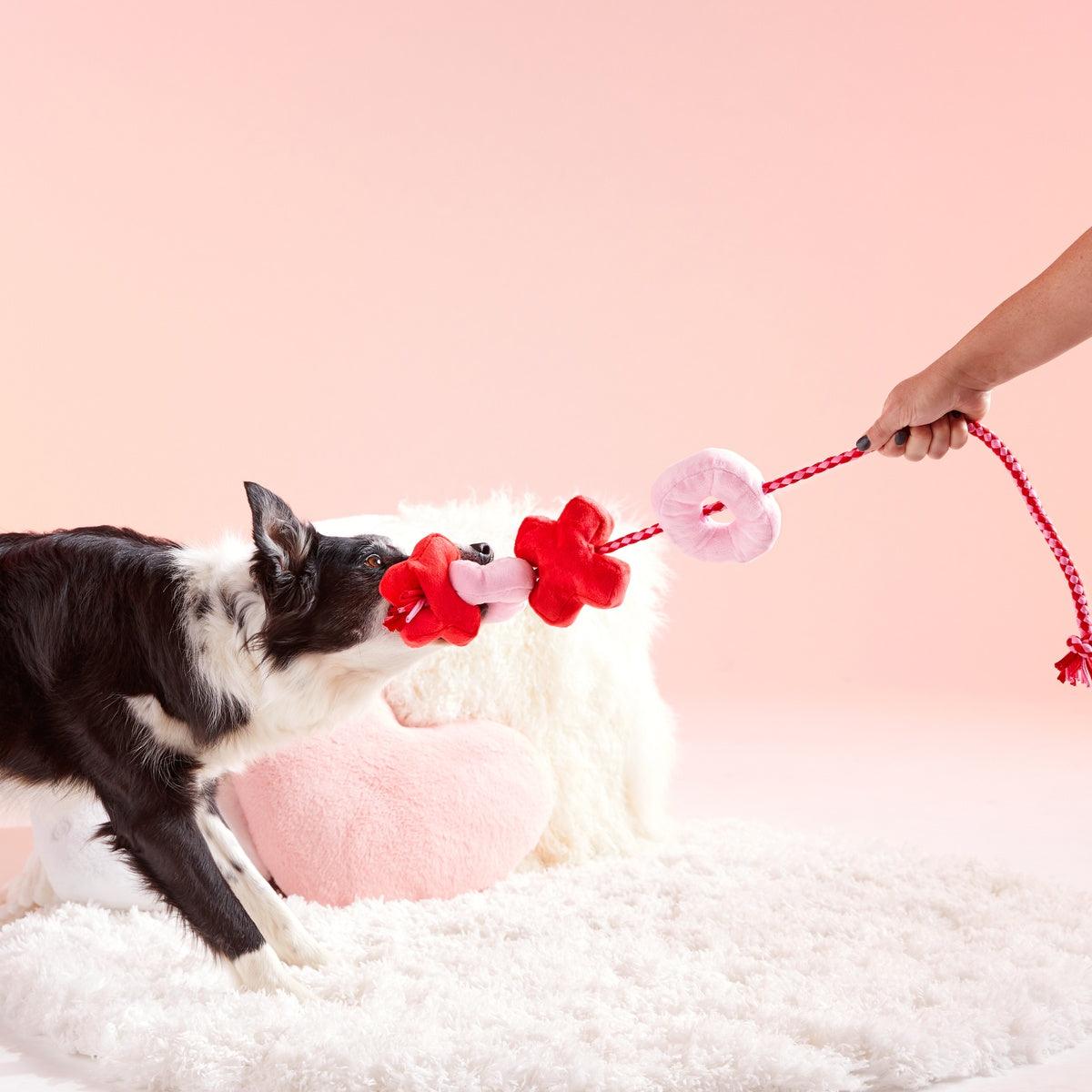 洋楽 Rup Dog Mix & Mingle: Parody Muttini Bar Plush Dog Toy for Social Pooches