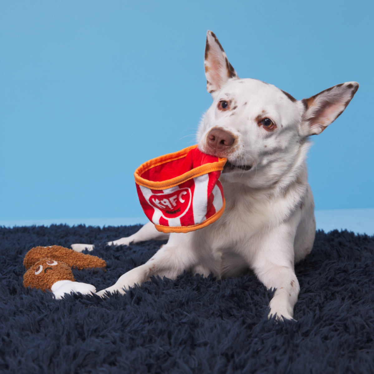 Kenpuppy Fried Chicken