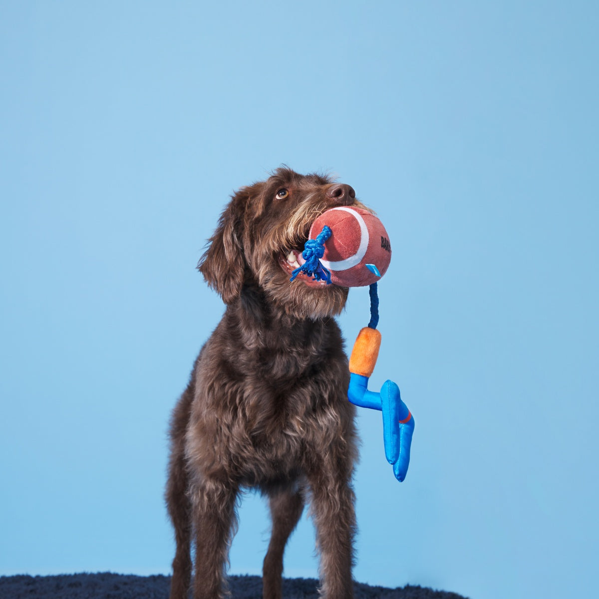 The Whole Canine Yards Plush Tug Dog Toy – BARK