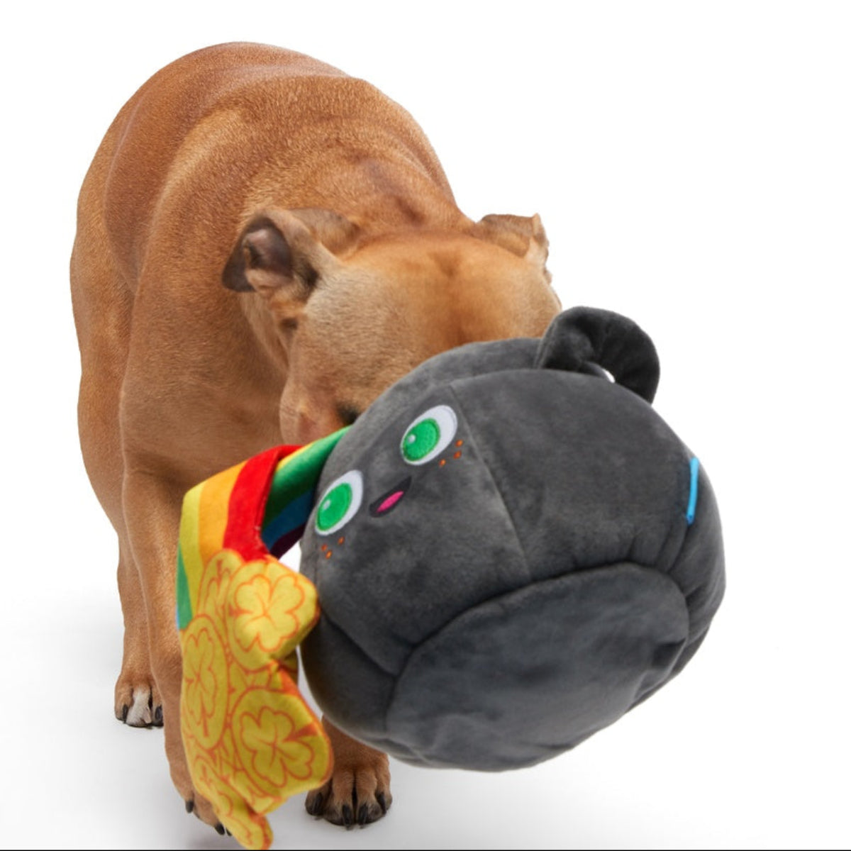 St. Pup's Pot o' Gold