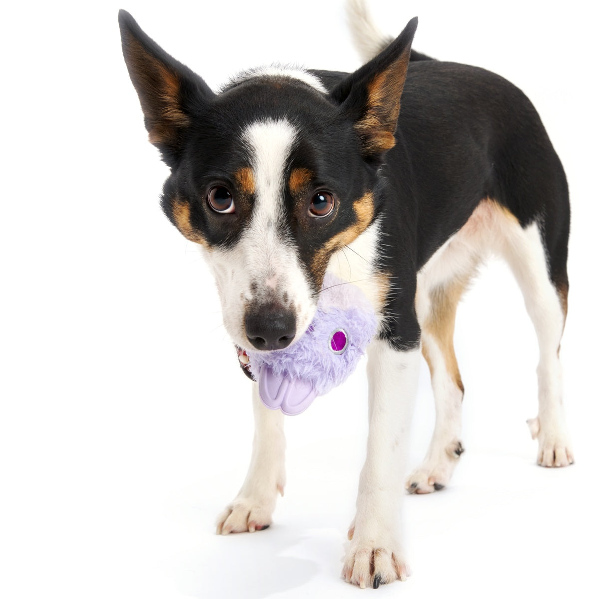 Beaster Bunny Super Chewer Durable 2-in-1 + Enrichment Dog Toy