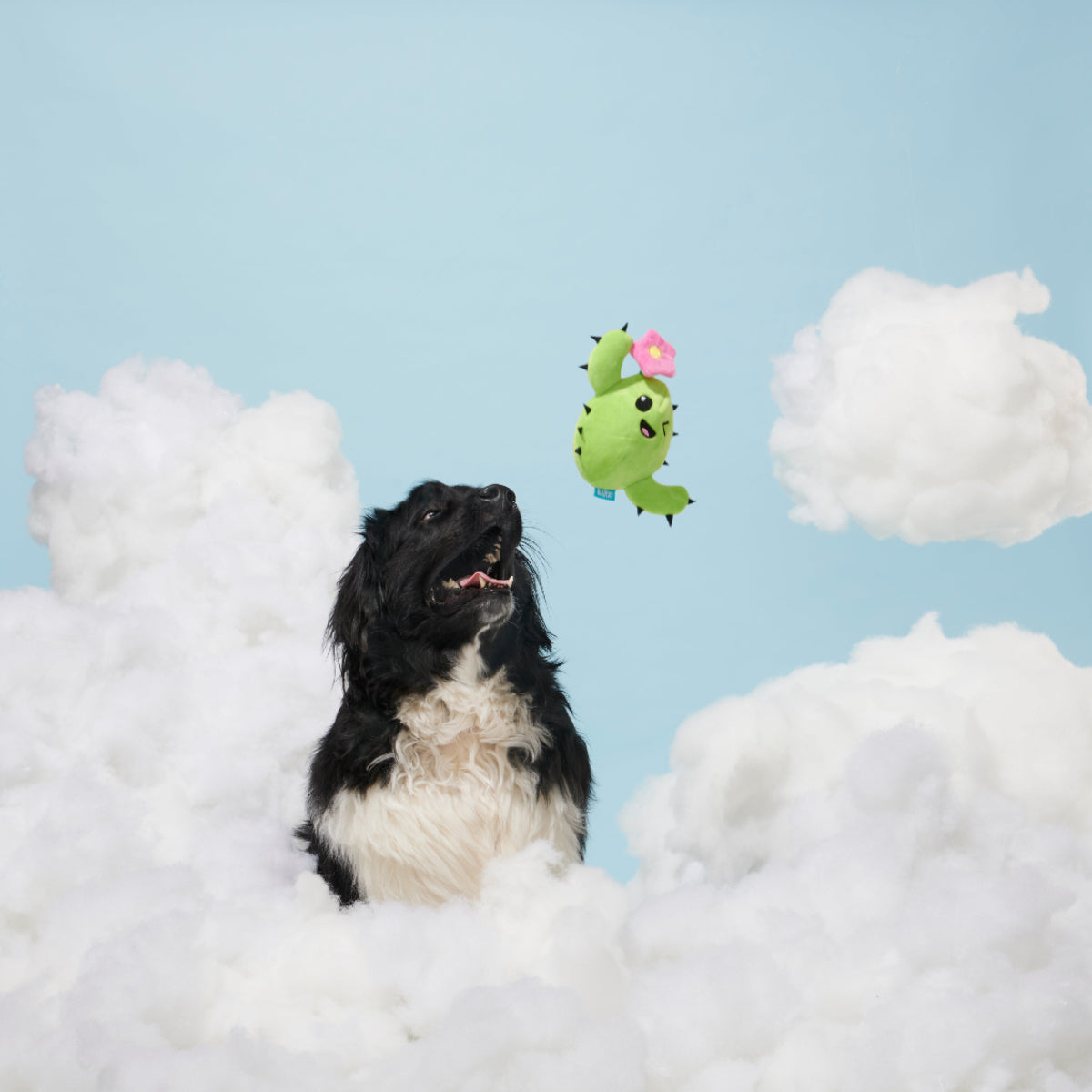 Consuela Comes Out Plush 2-in-1 Dog Toy