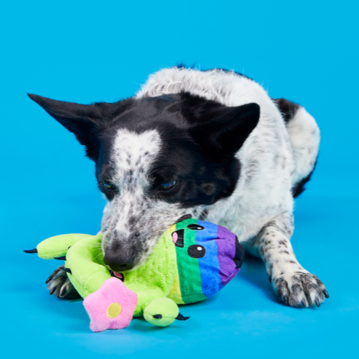 Consuela Comes Out Plush 2-in-1 Dog Toy