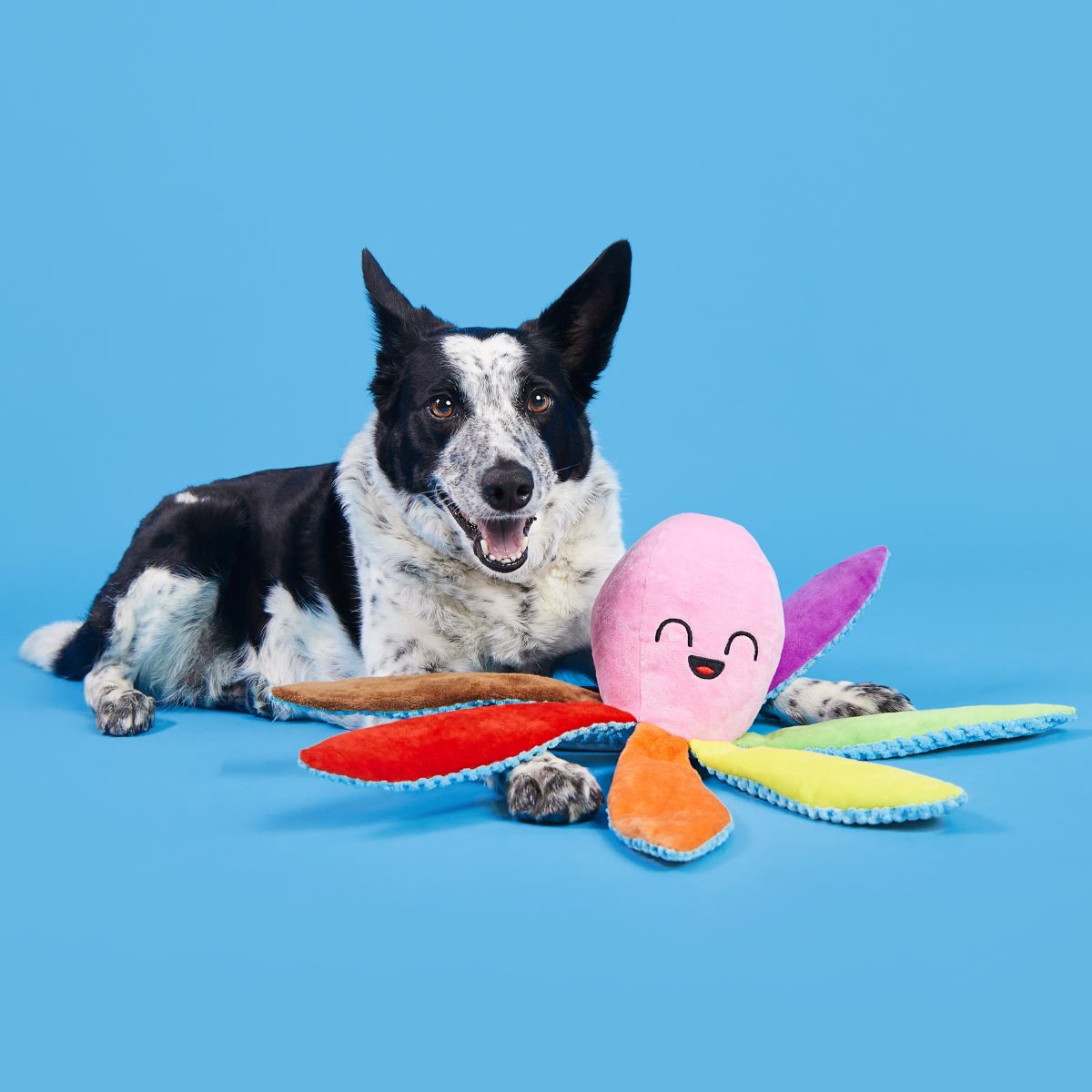 Out Ollie the Octopus Plush Tug Dog Toy