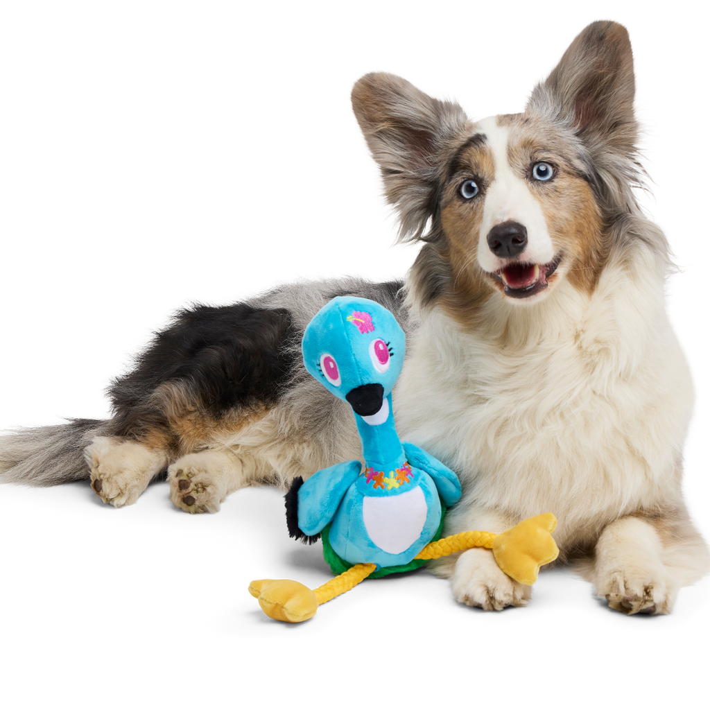 Lele the Nene Goose Plush Tug + Extra-Large Dog Toy – BARK