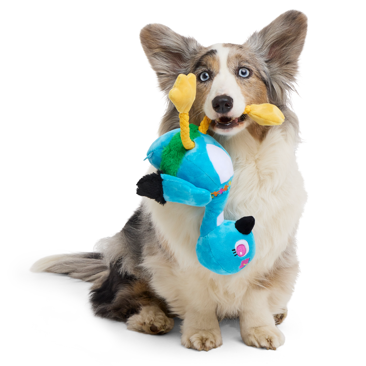 Lele the Nene Goose Plush Tug + Extra-Large Dog Toy