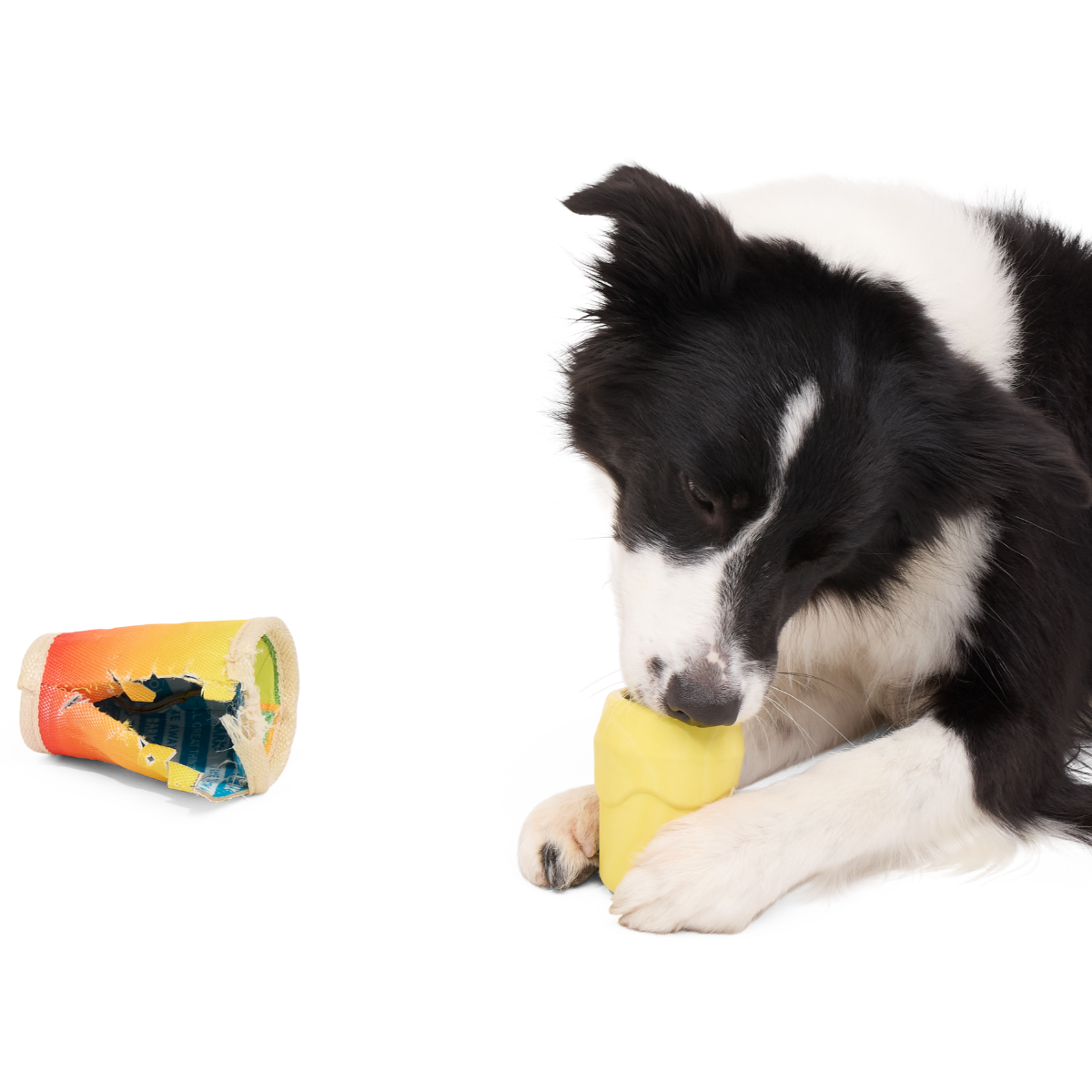 Mai Toy Super Chewer Durable 2-in-1 + Enrichment Dog Toy