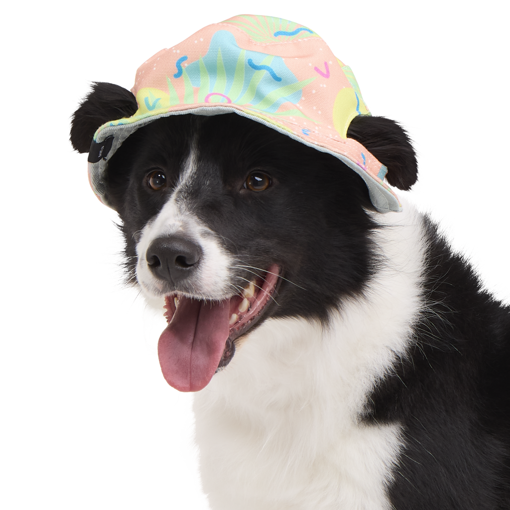 Summertime Reversible Bucket Dog Hat – BARK