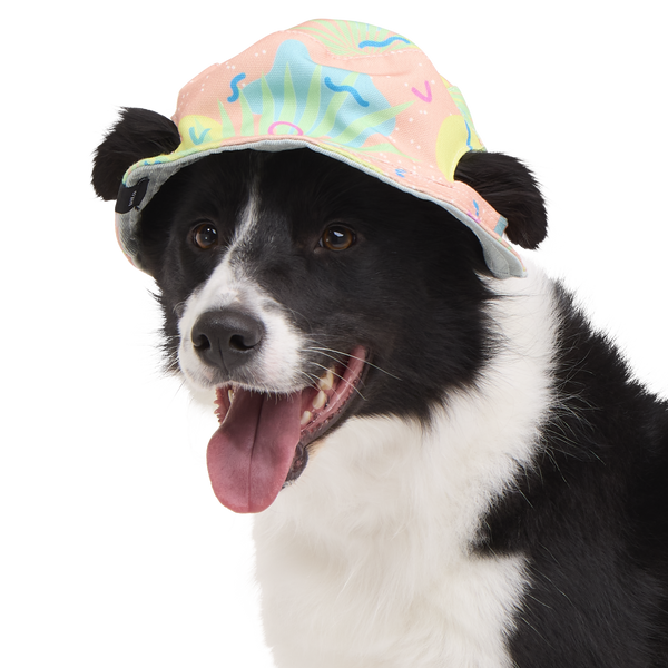 Summertime Reversible Bucket Dog Hat – BARK
