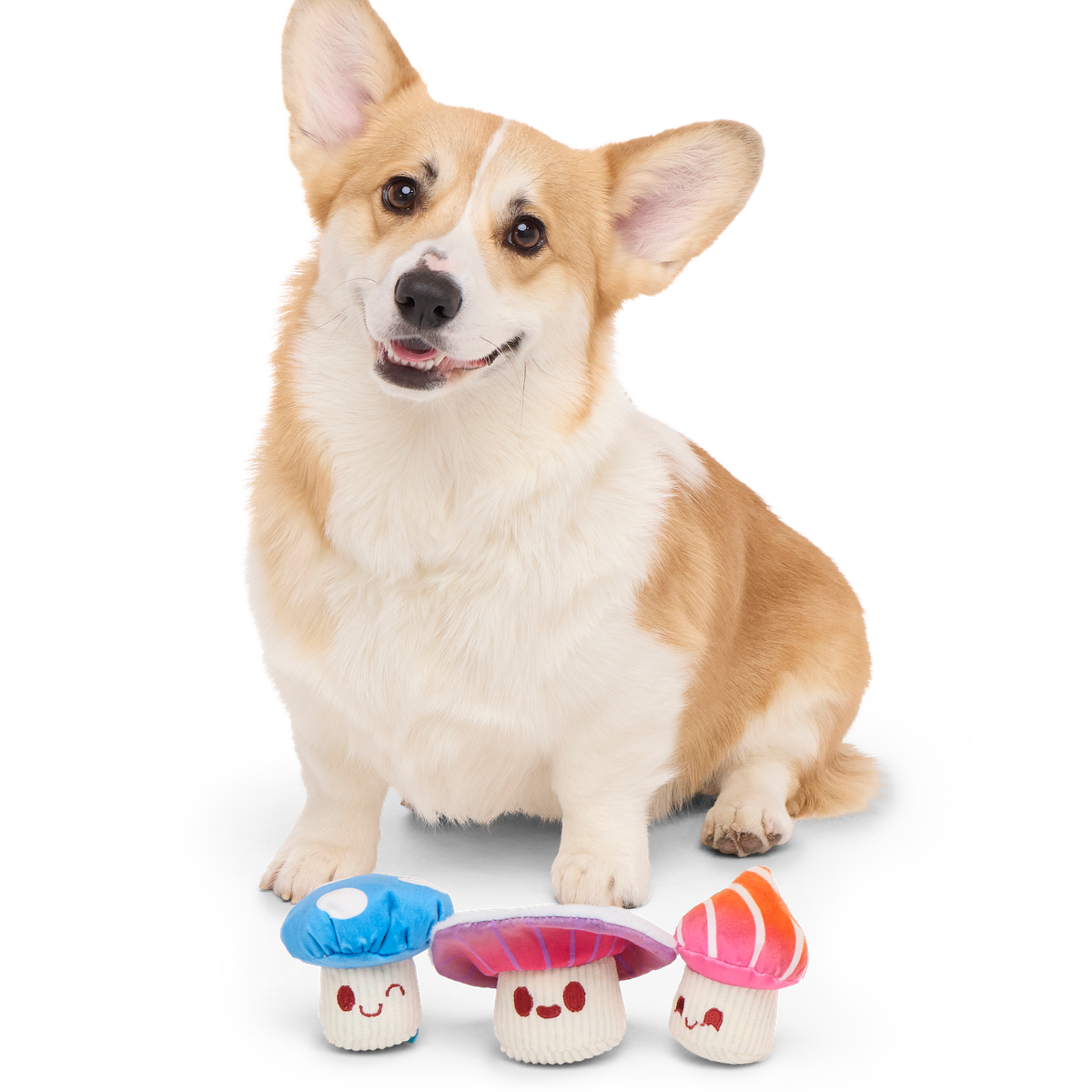 Alice's Magic Mushrooms