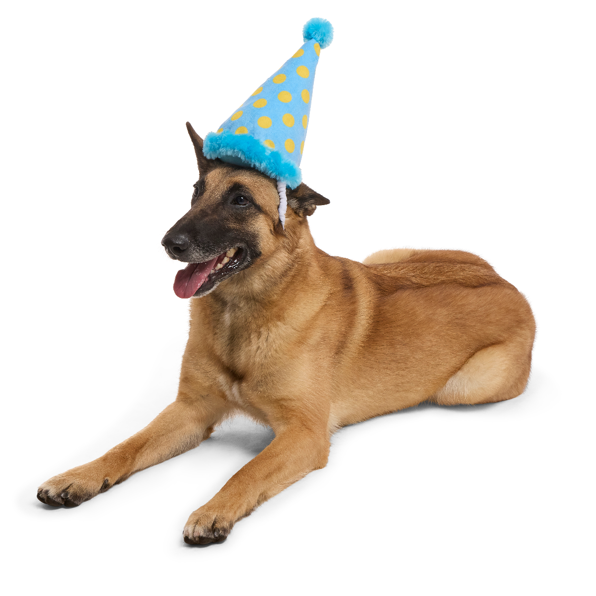 Party Hat Plush Wearable Dog Toy