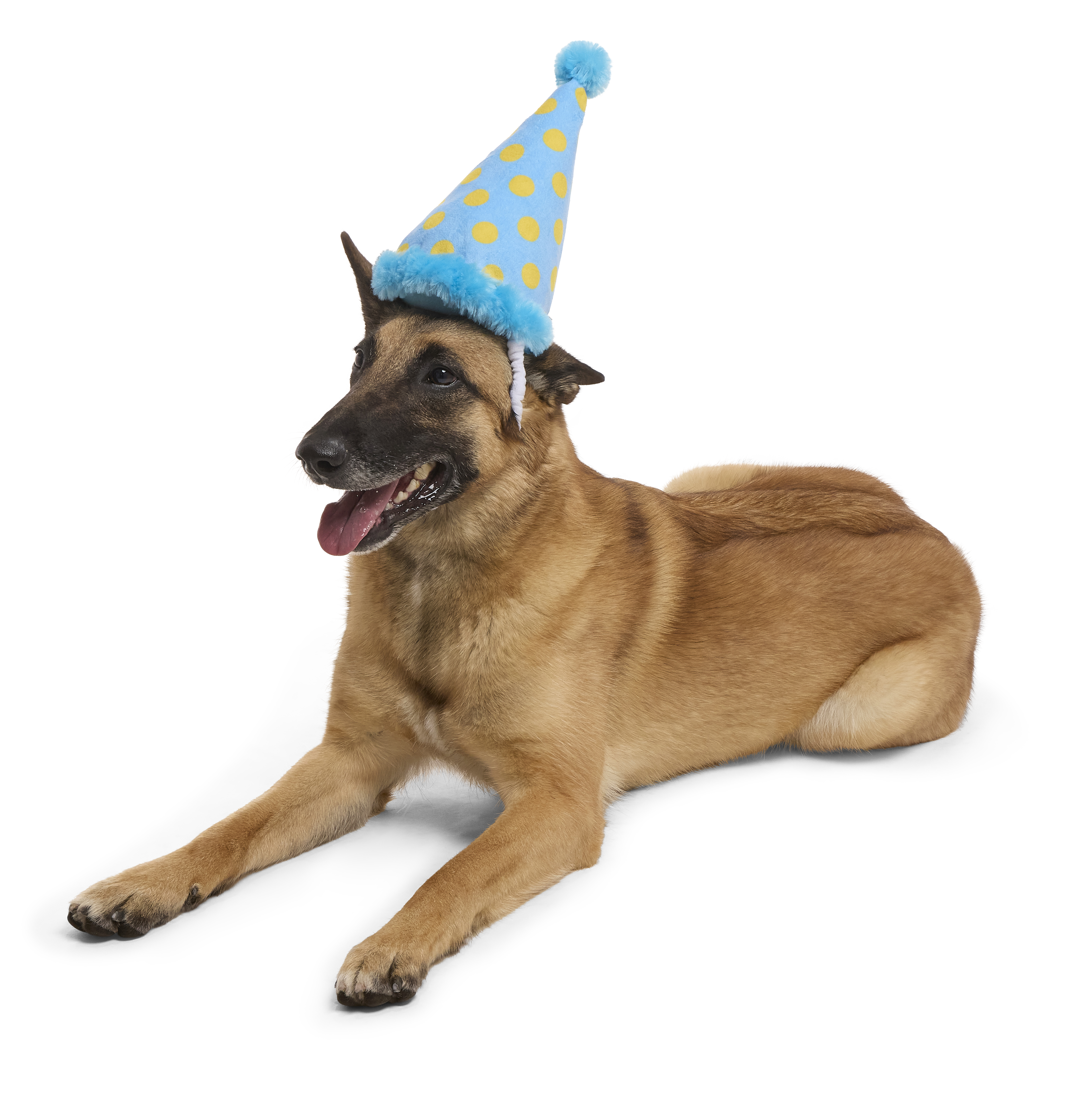 Party Hat