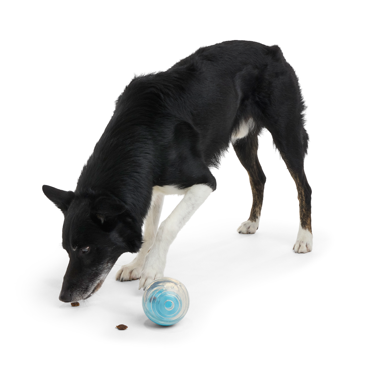 Apex Puzzler Super Chewer Durable Enrichment + Fetch Dog Toy