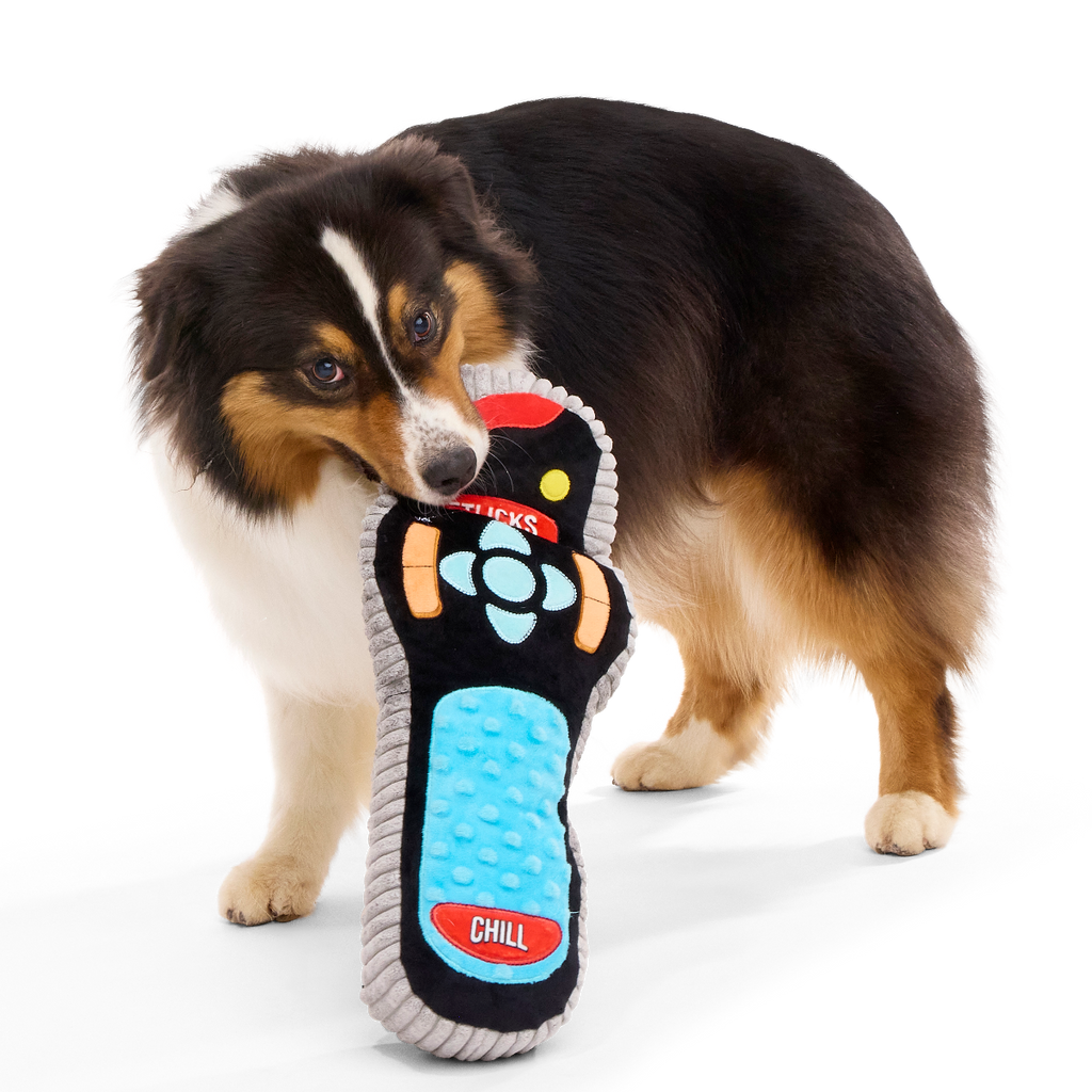 Chewniversal Remote Plush Extra-Large Dog Toy – BARK Chewniversal Remote Plush Extra-Large Dog Toy – BARK
