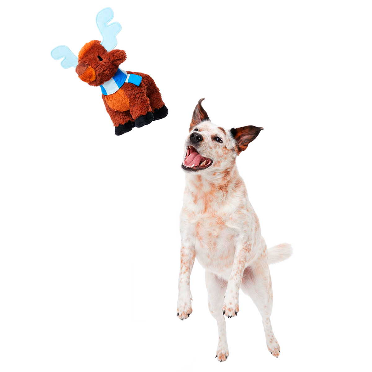 Prancin’ Perry Plush Tug Dog Toy