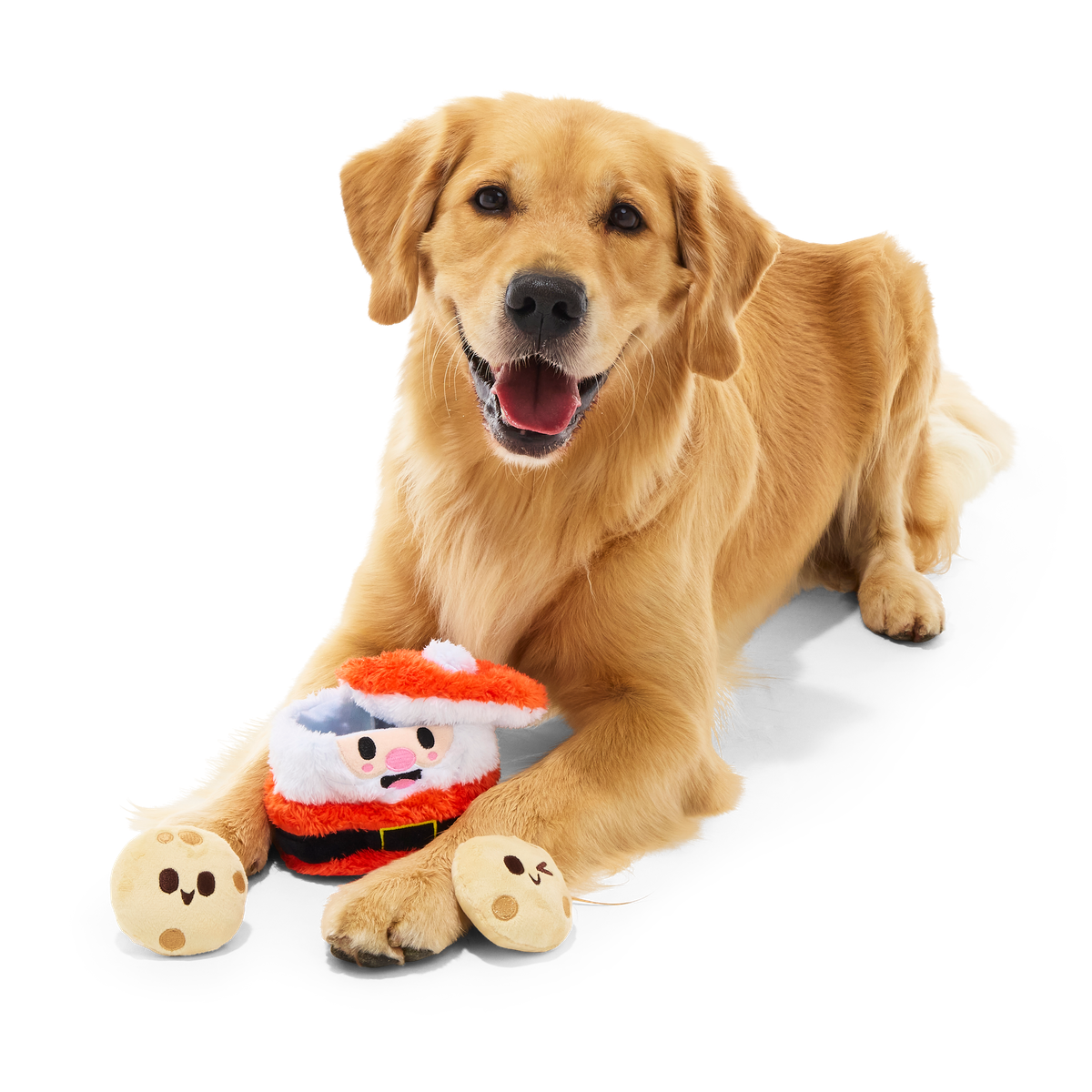 Santa's Jolly Cookie Jar