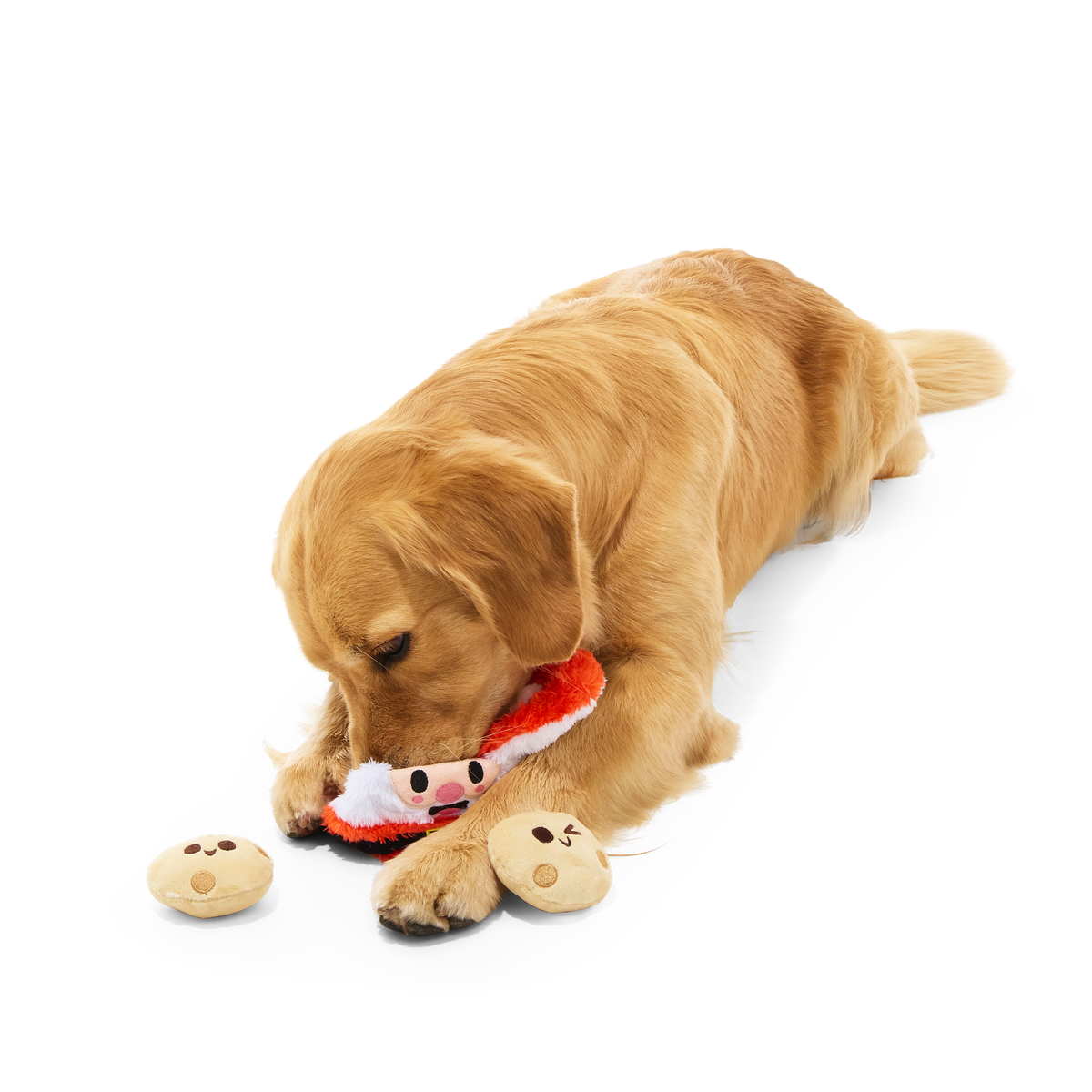 Santa's Jolly Cookie Jar