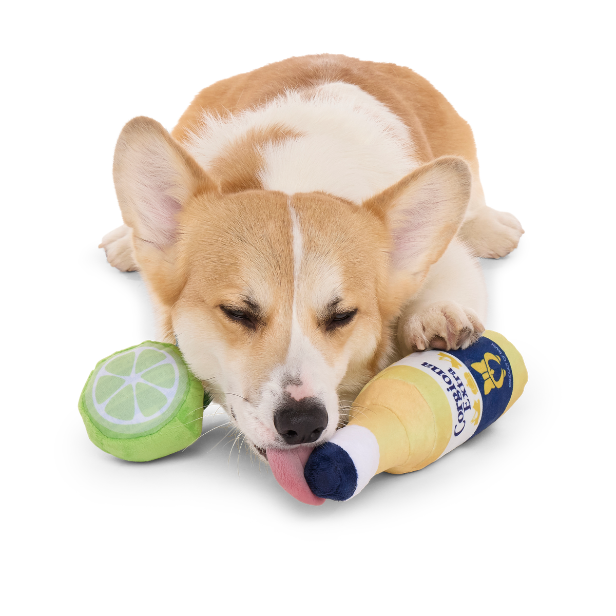 Corgiona With Lime Plush Multi-Part Dog Toy
